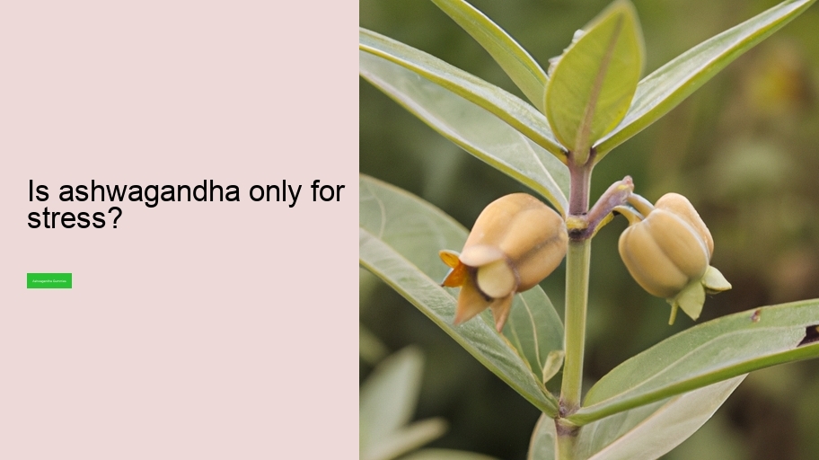 Is ashwagandha only for stress?
