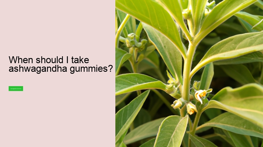 When should I take ashwagandha gummies?