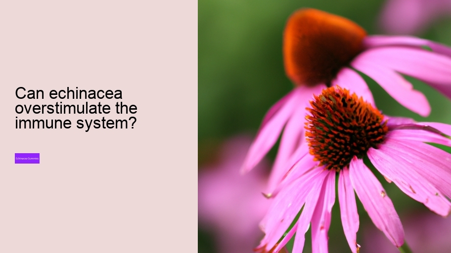 Can echinacea overstimulate the immune system?