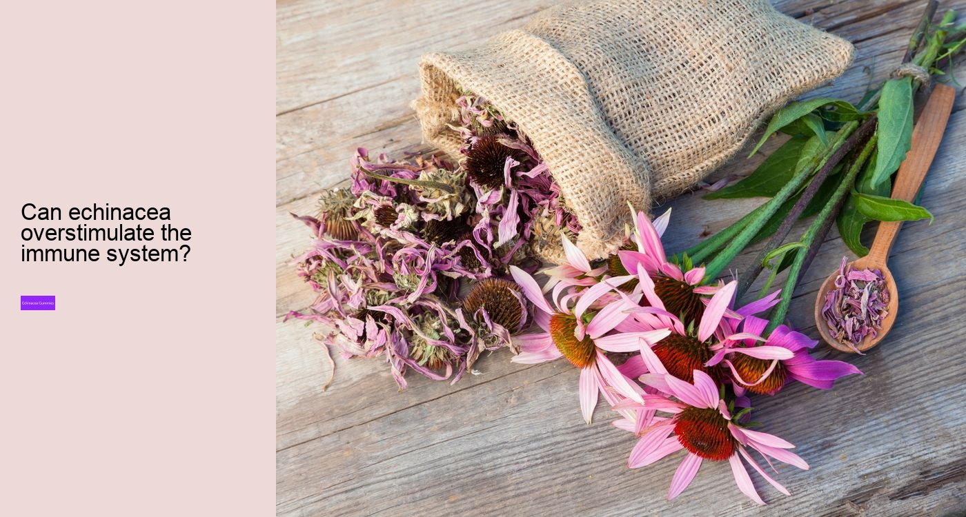 Does echinacea give you energy?