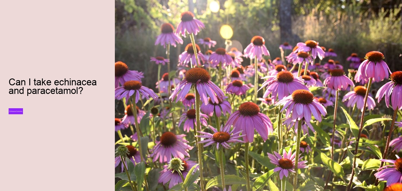 Can you take echinacea and vitamin C at the same time?