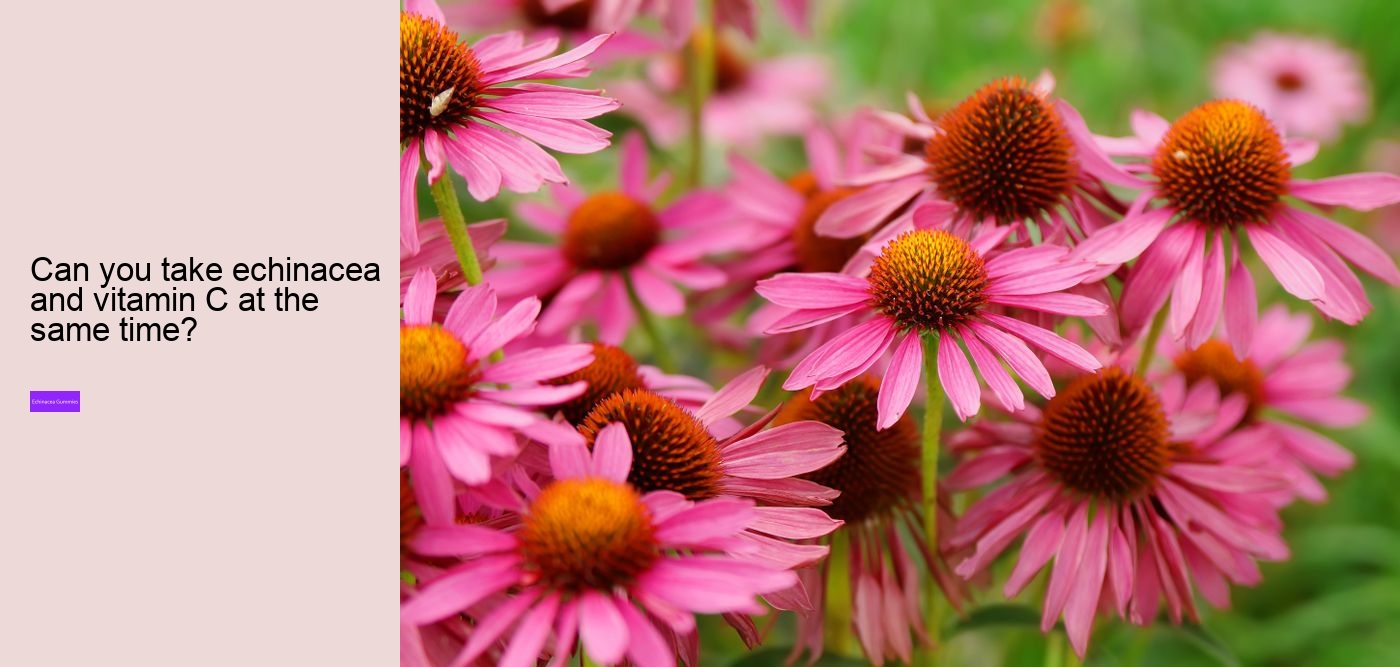 Why not take echinacea on an empty stomach?