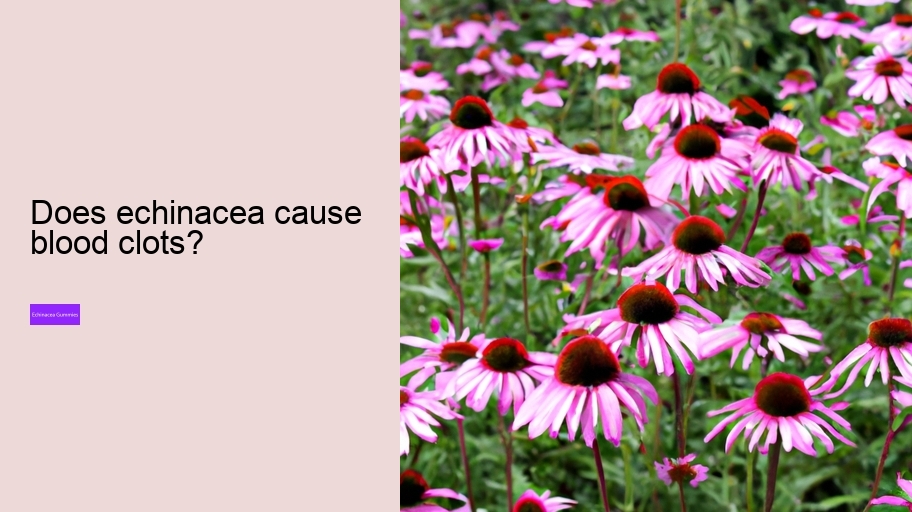 Does echinacea cause blood clots?