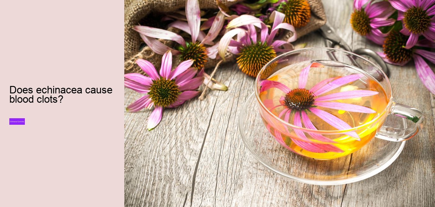 Is it OK to take echinacea every day?