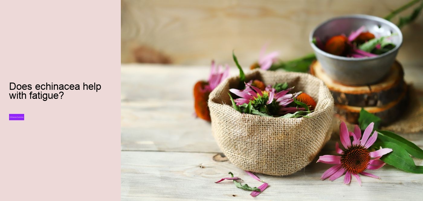 Does echinacea help when you are already sick?