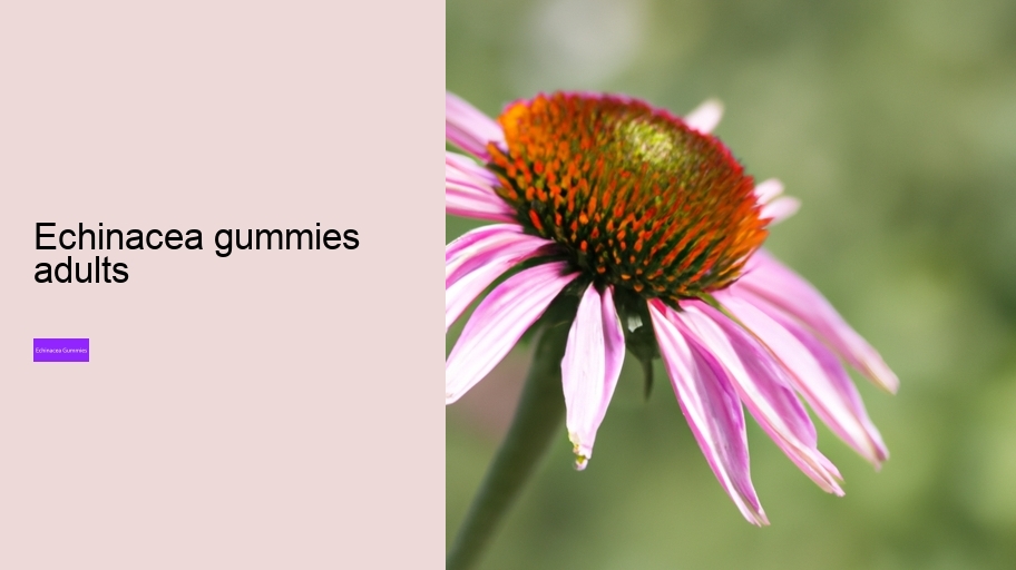 echinacea gummies adults