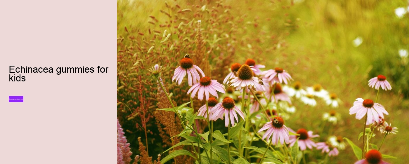 Why not take echinacea on an empty stomach?