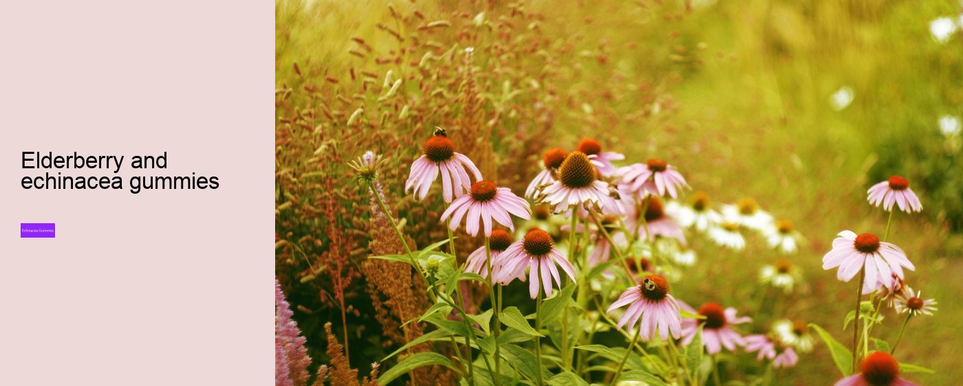 echinacea for kids gummies