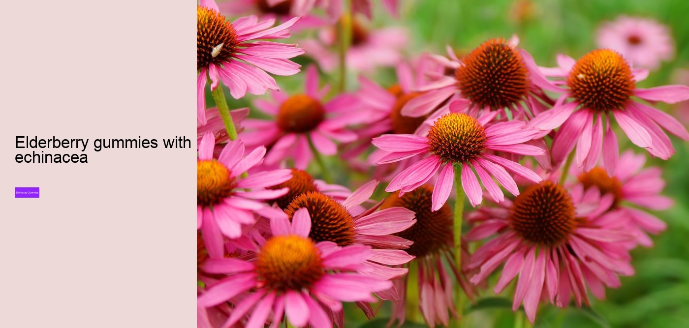 multivitamin gummies with echinacea