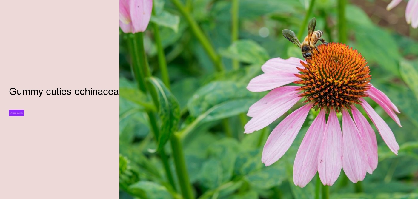 Does echinacea help when you are already sick?