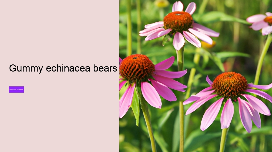 gummy echinacea bears