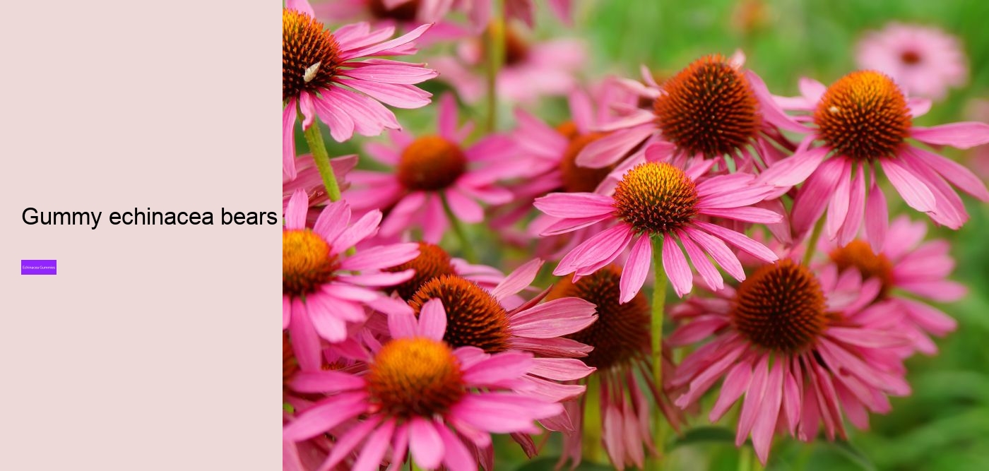 Does echinacea affect sleep?