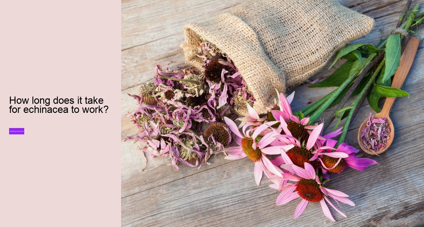 What does echinacea do for hormones?