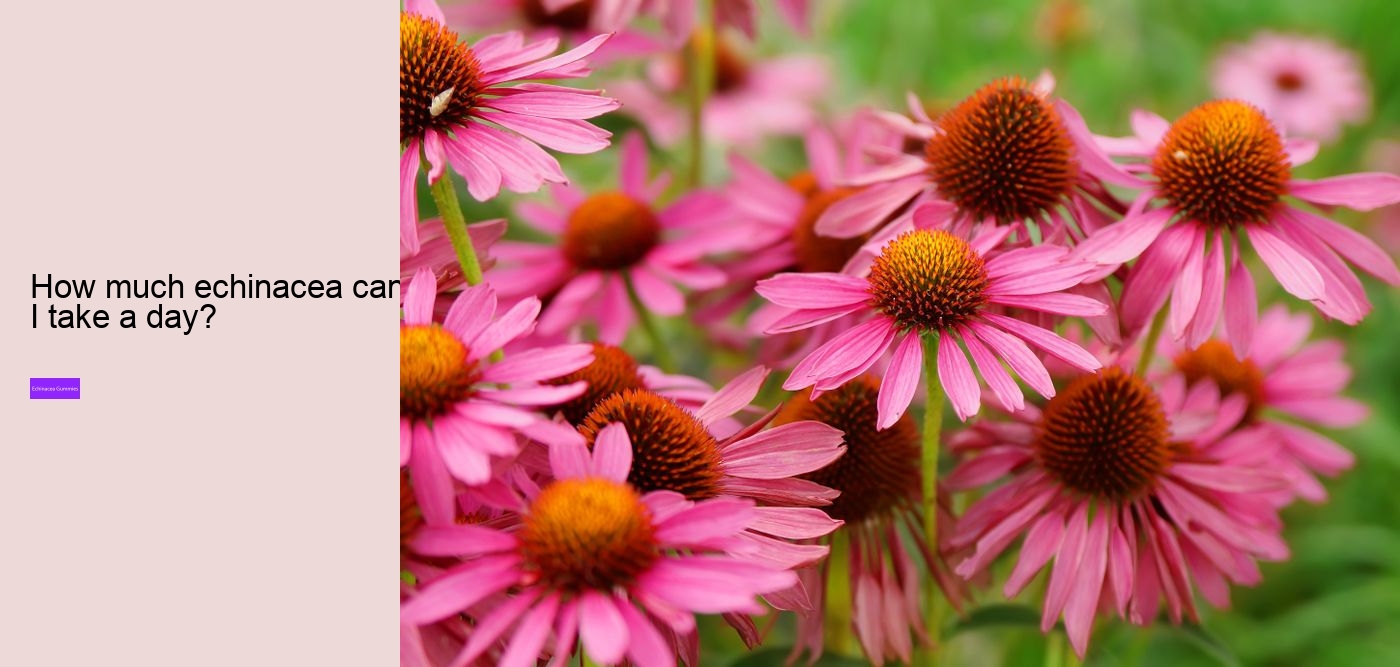 multivitamin gummies with echinacea