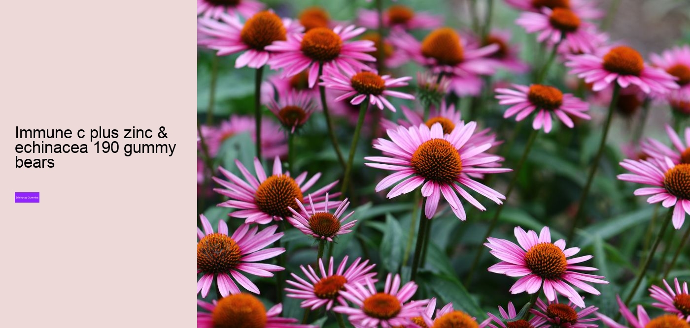 echinacea gummies for adults