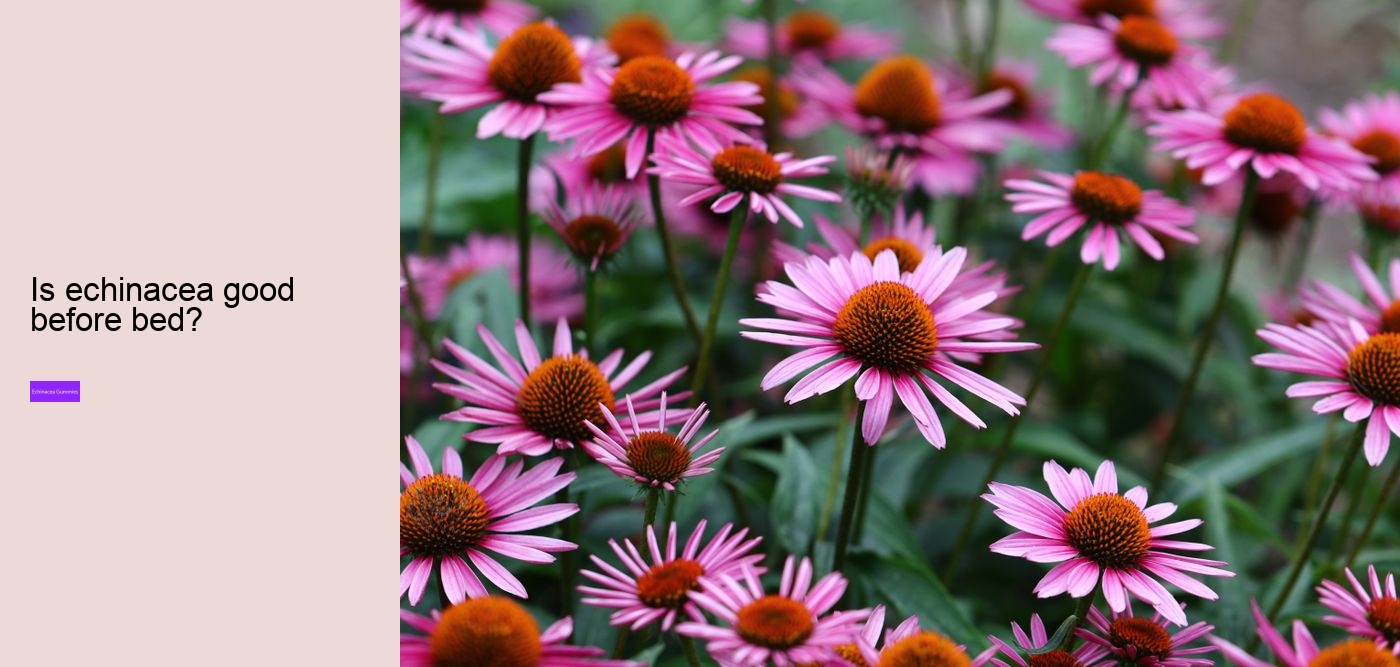 Does echinacea help when you are already sick?