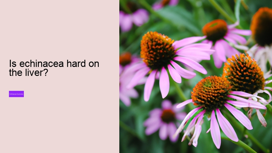 Is echinacea hard on the liver?