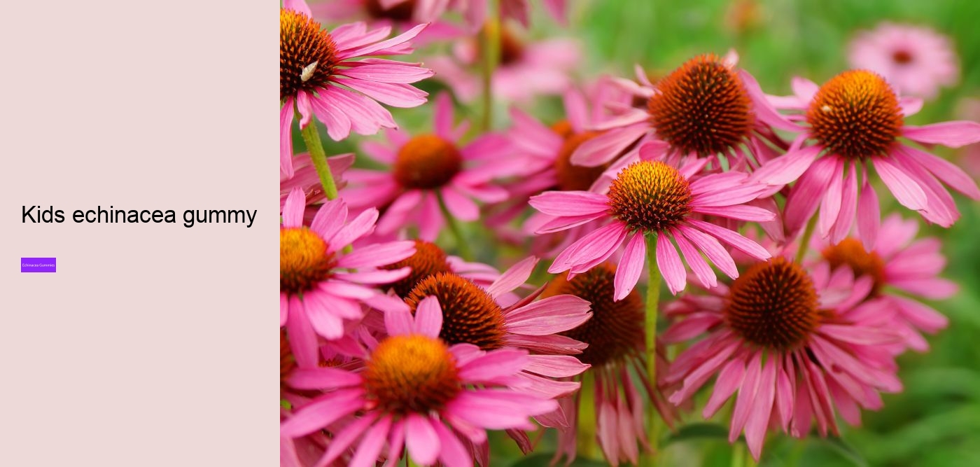 gummy echinacea