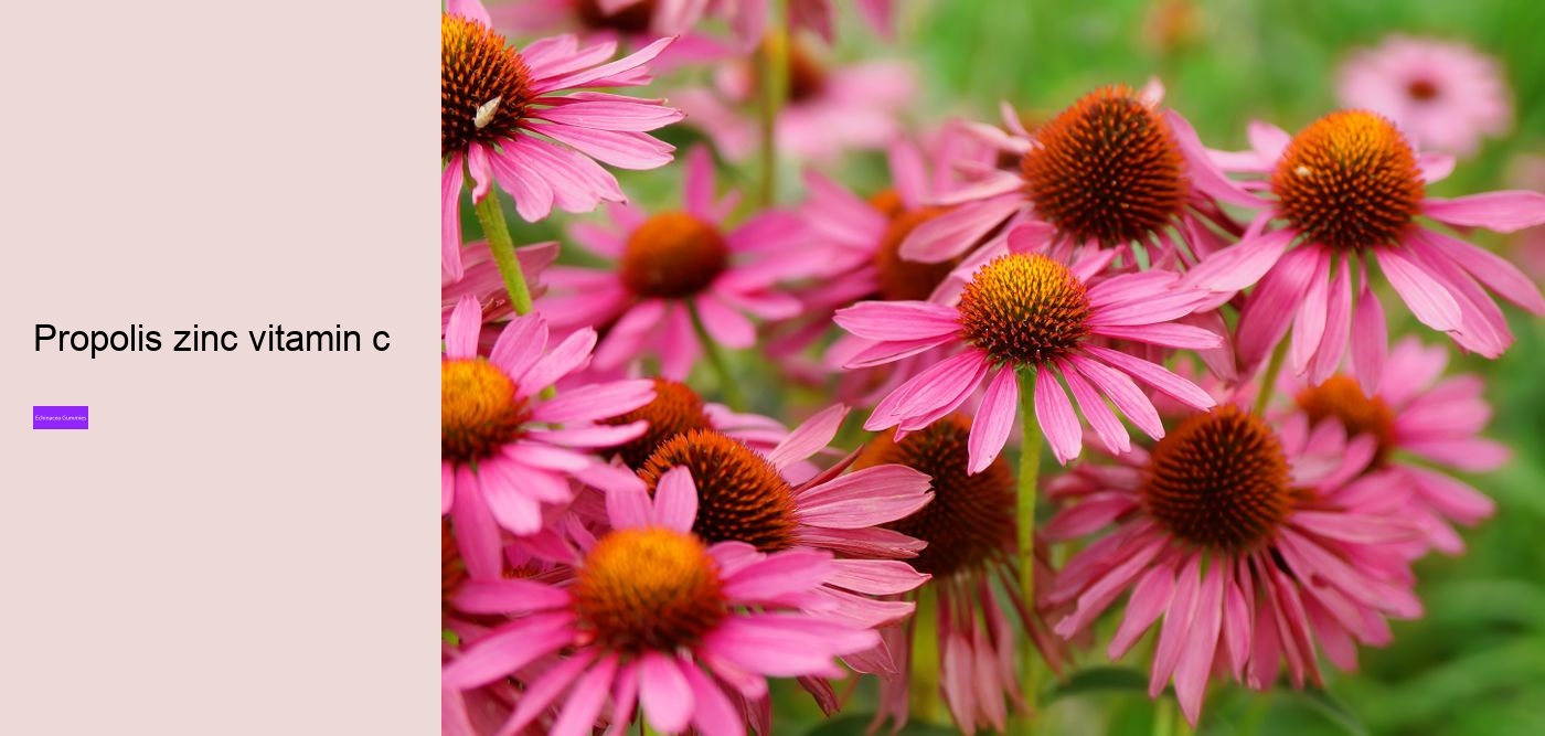 echinacea and zinc