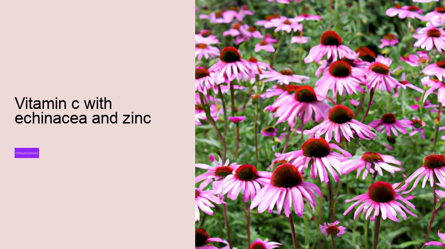 vitamin c with echinacea and zinc