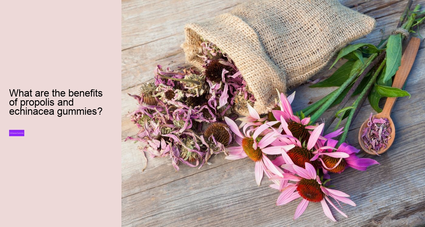 Does echinacea cleanse your body?