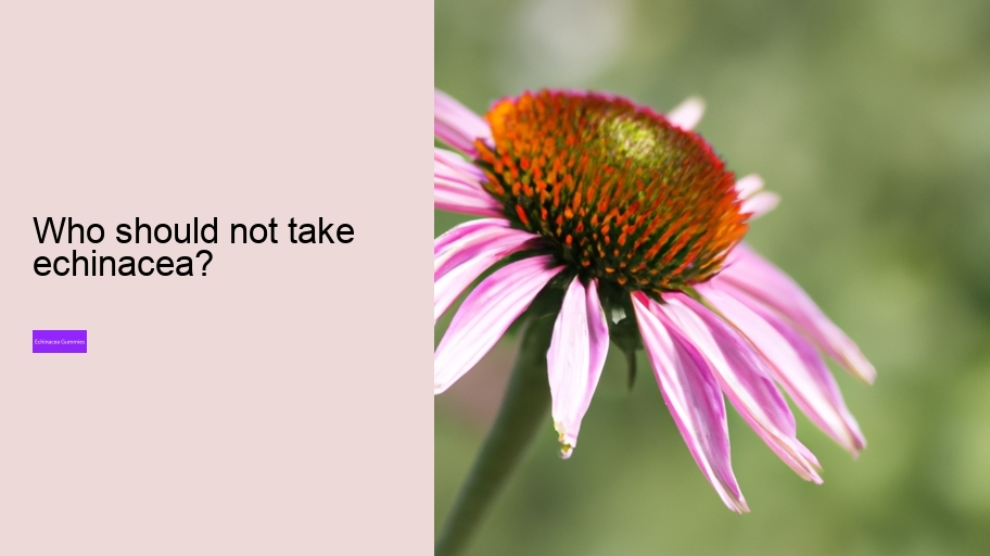 Who should not take echinacea?