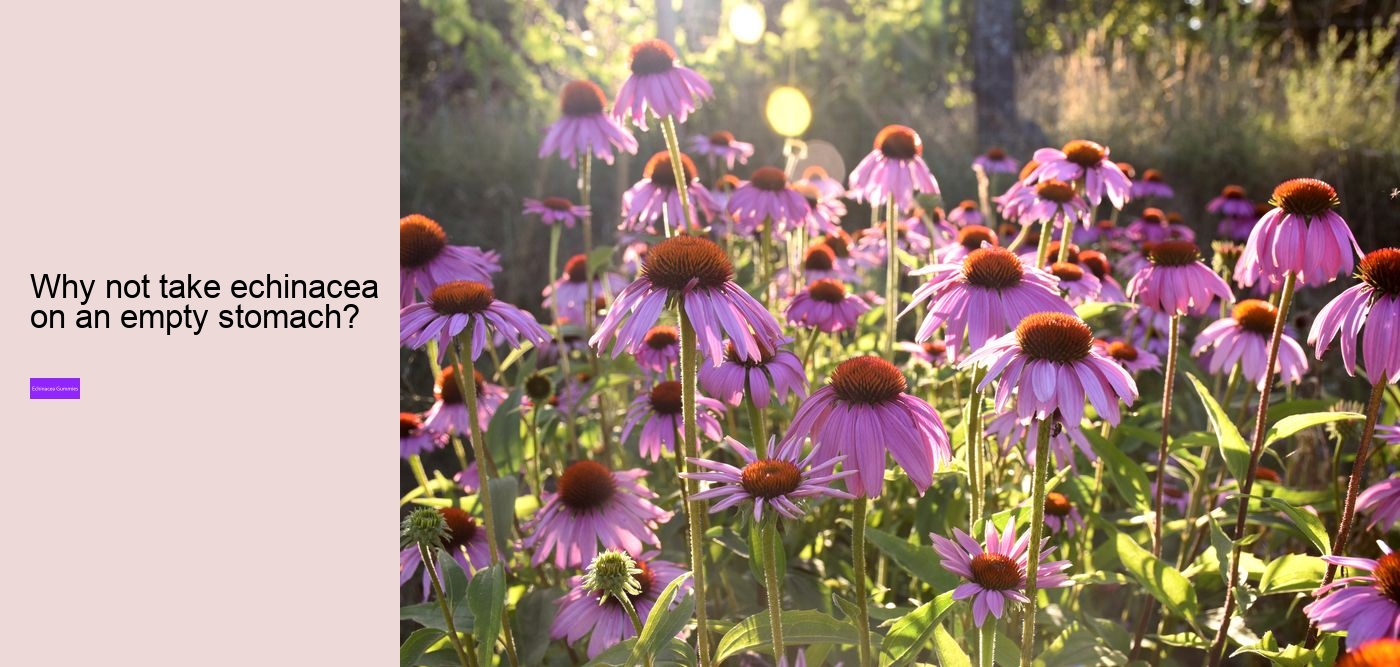 Does echinacea affect sleep?