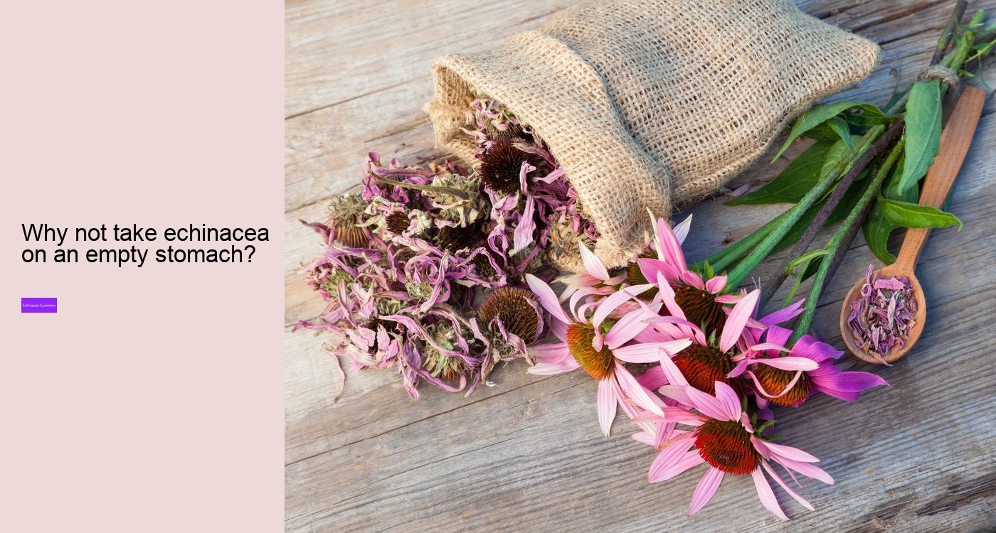 What does echinacea do to the brain?