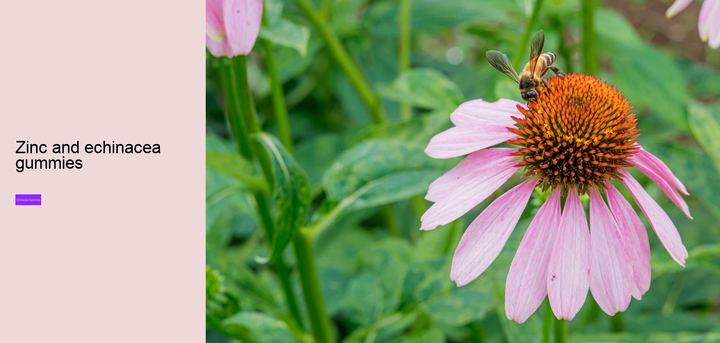 vitamin c and echinacea