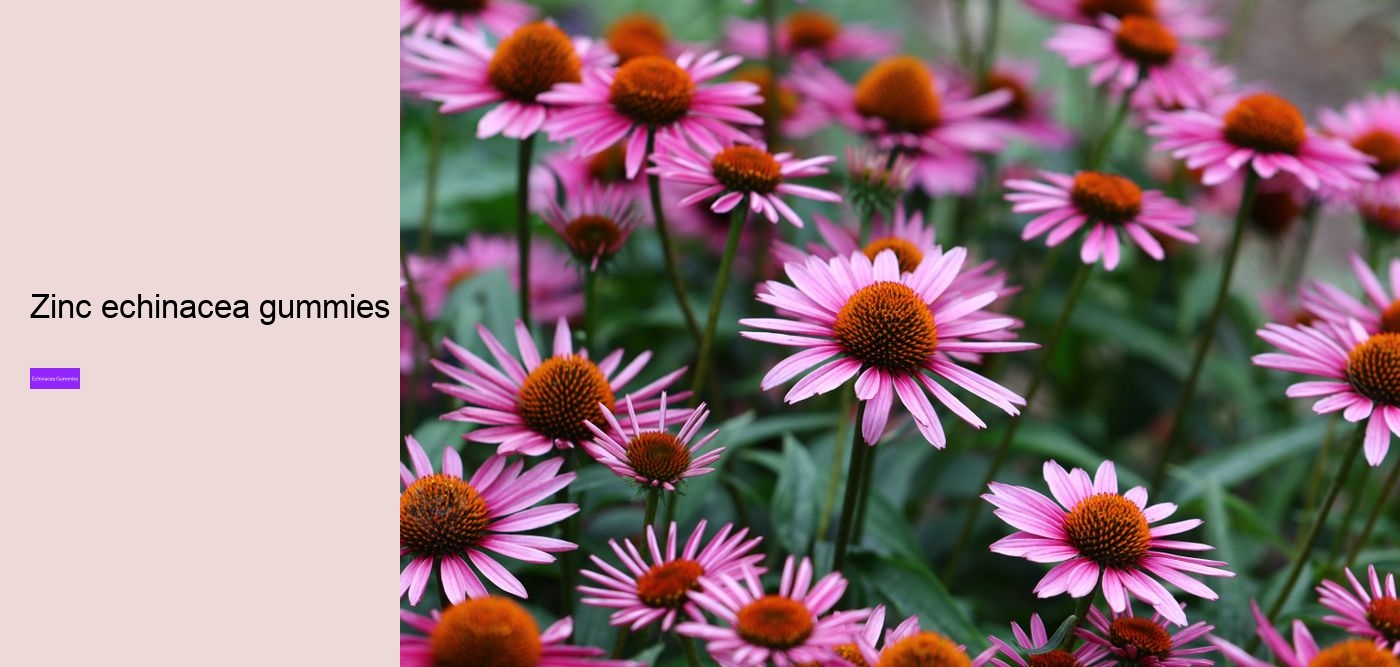 elderberry gummies with zinc and echinacea