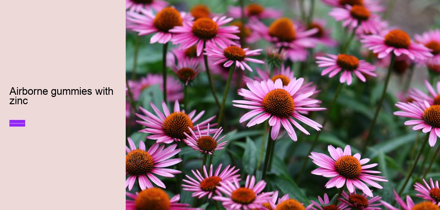 propolis and echinacea gummies