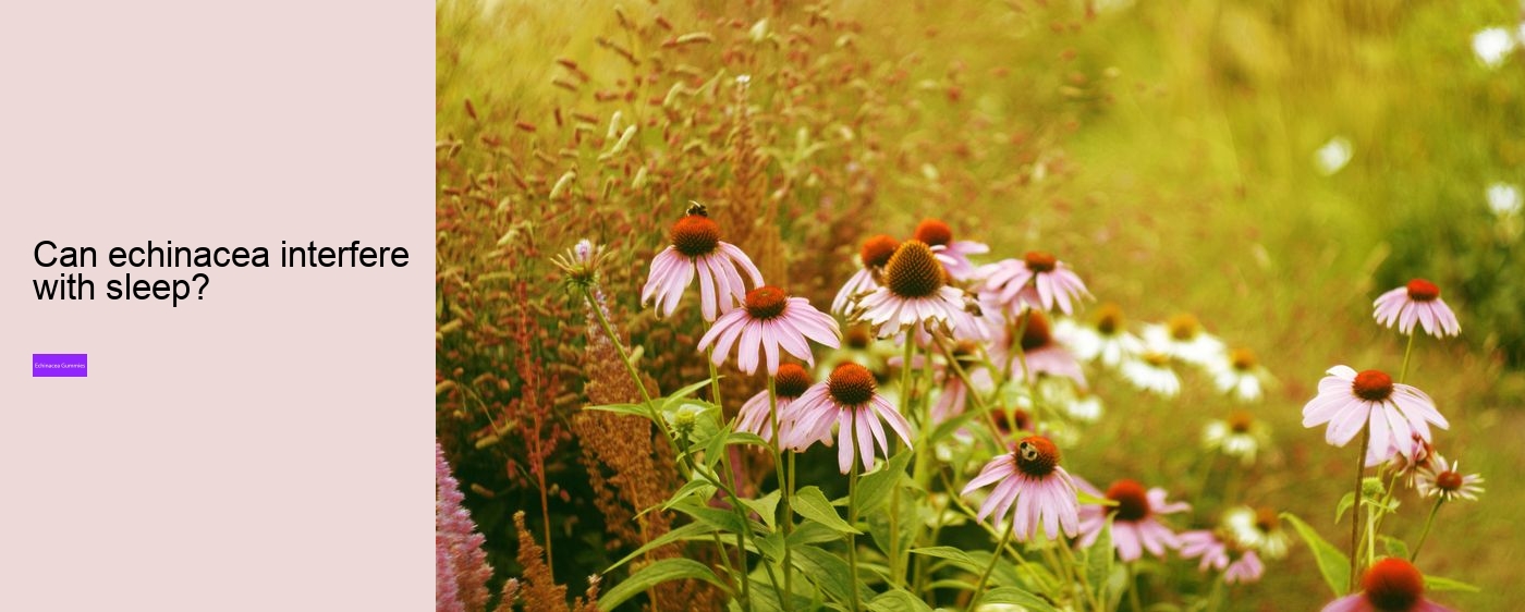 Does echinacea help with fatigue?