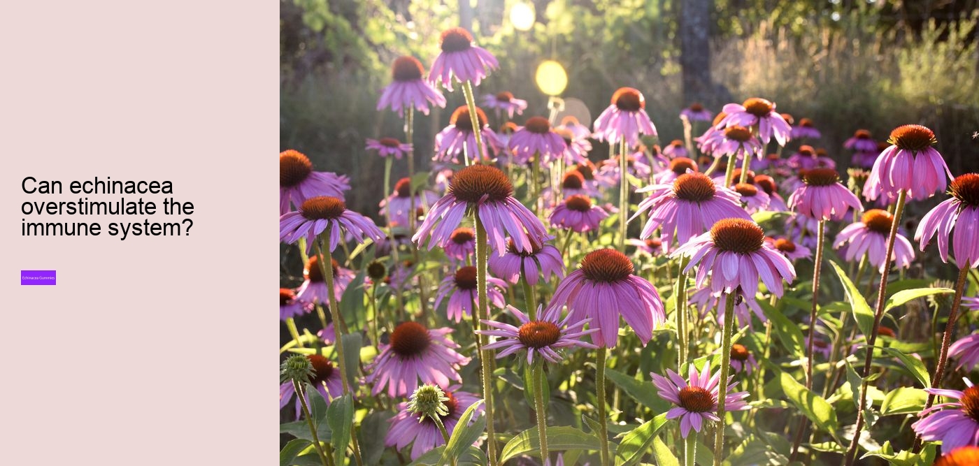 zinc echinacea vitamin c