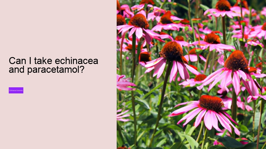 Can I take echinacea and paracetamol?