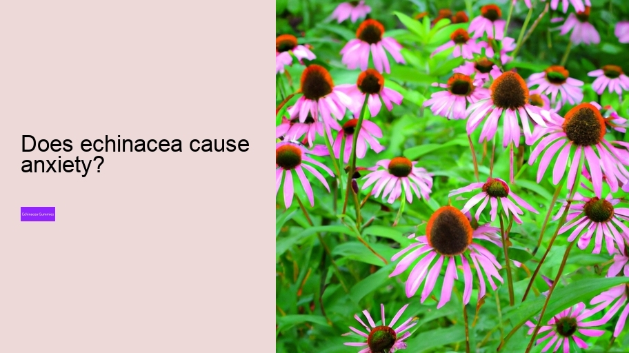 Does echinacea cause anxiety?