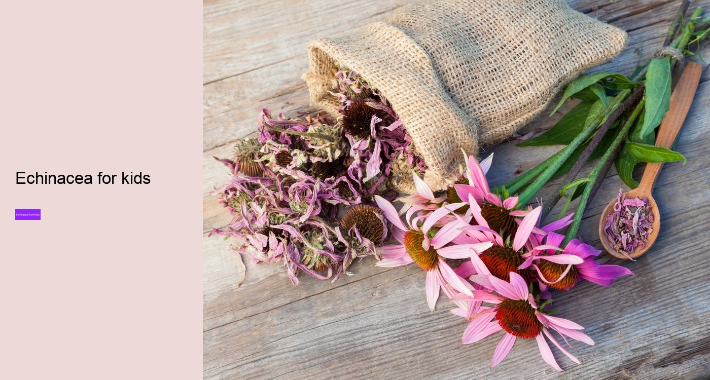 What does echinacea do for hormones?