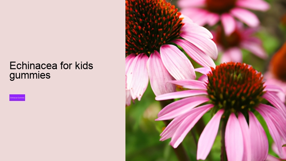 echinacea for kids gummies