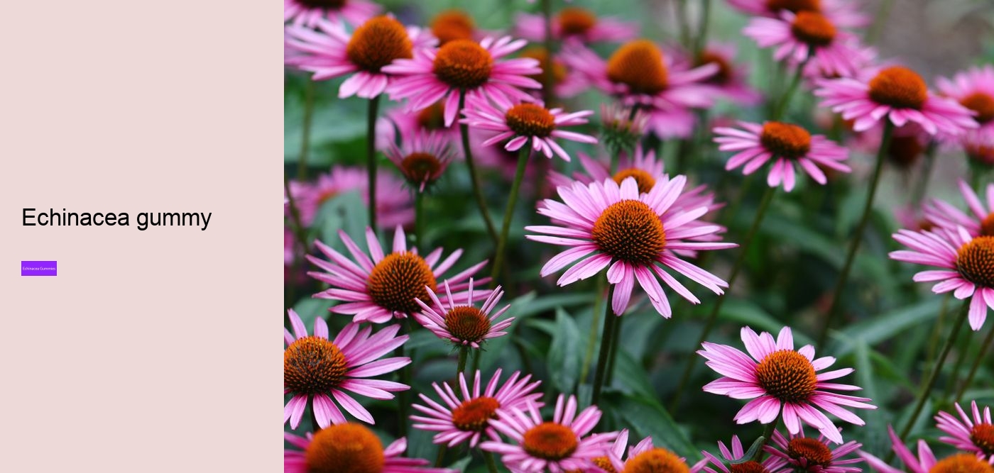 kids echinacea gummy