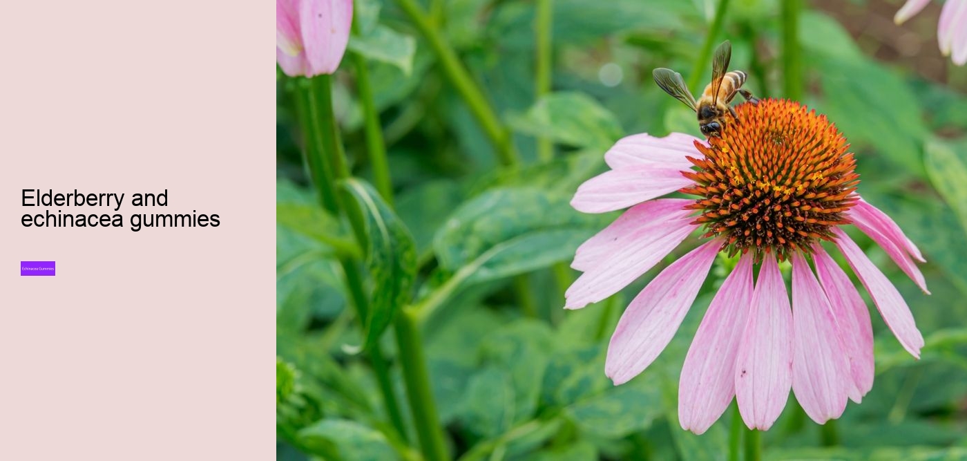 elderberry gummies with zinc echinacea vitamin c and