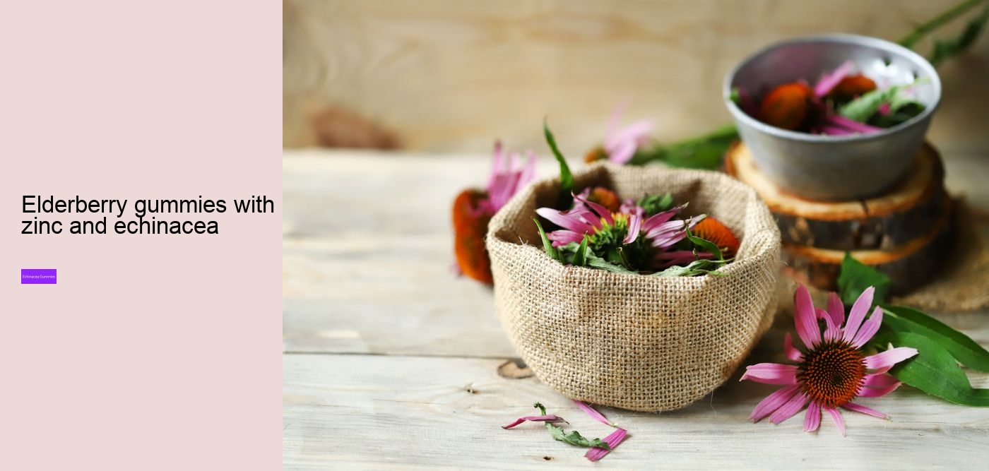 What are the benefits and side effects of echinacea?