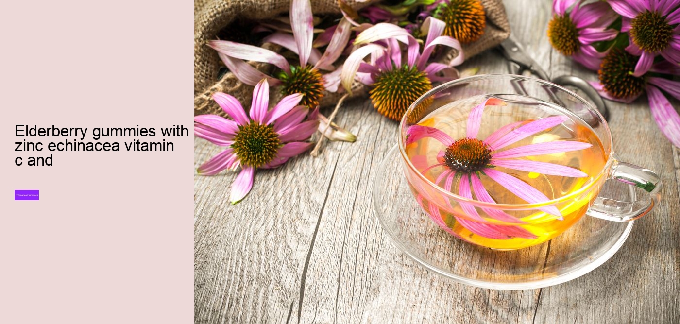 What does vitamin C echinacea do for you?