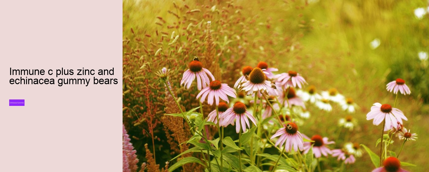 children's echinacea gummies