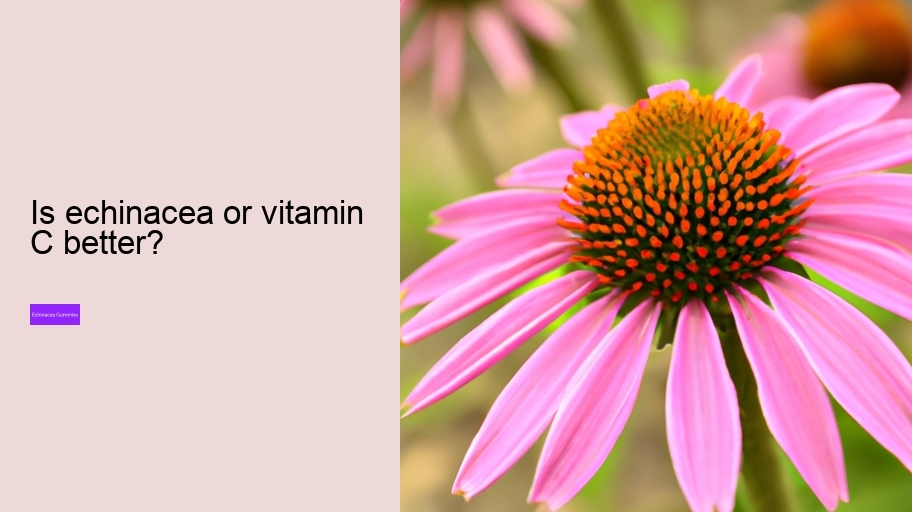 Is echinacea or vitamin C better?