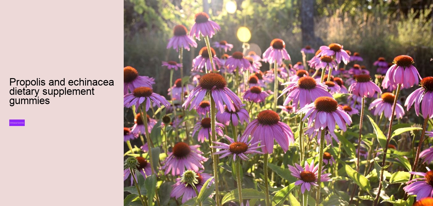 elderberry and echinacea gummies