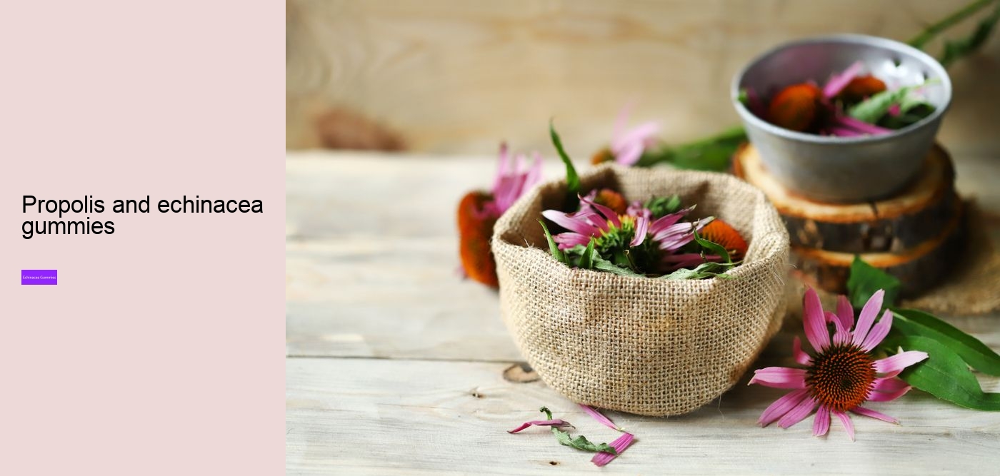 Why is echinacea so expensive?