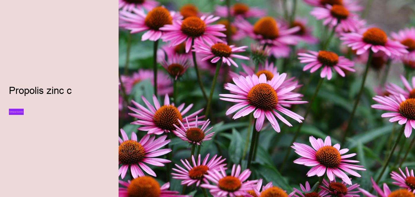 echinacea gummies for toddlers