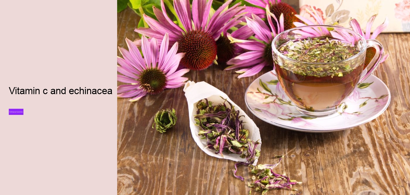 What to avoid when taking echinacea?