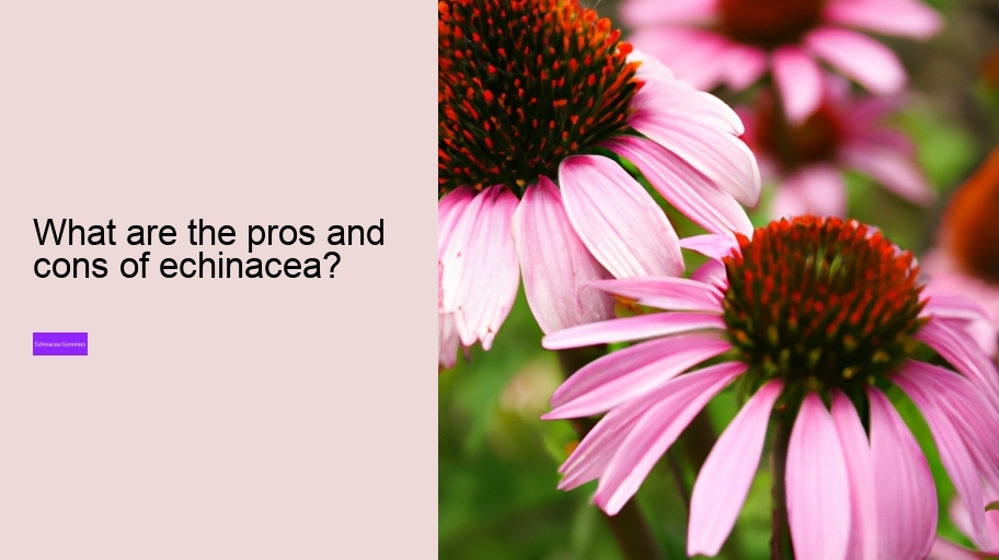 What are the pros and cons of echinacea?