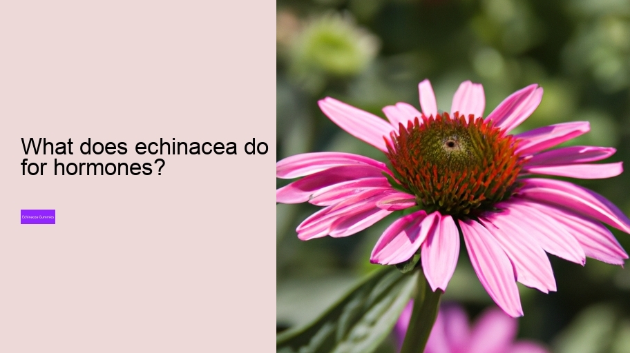 What does echinacea do for hormones?