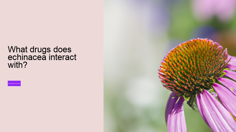 What drugs does echinacea interact with?